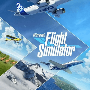 MS Flight Simulator